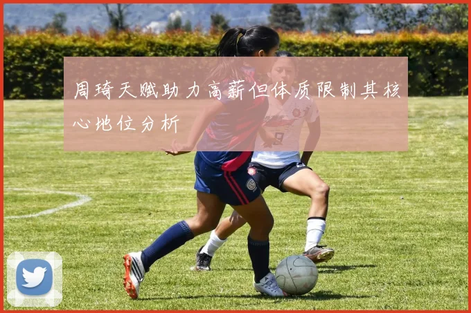 周琦天赋助力高薪但体质限制其核心地位分析