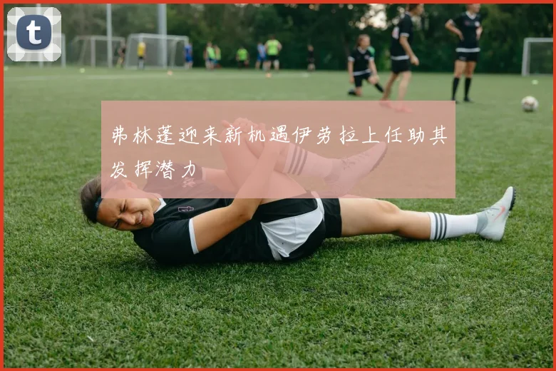 弗林蓬迎来新机遇伊劳拉上任助其发挥潜力