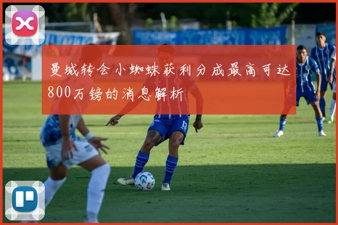 曼城转会小蜘蛛获利分成最高可达800万镑的消息解析